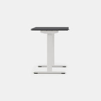 Branch Duo Standing Desk