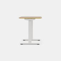 Branch Duo Standing Desk