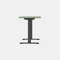 Branch Duo Standing Desk