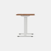 Branch Duo Standing Desk