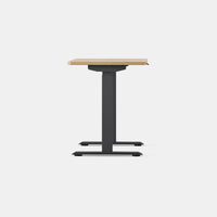 Branch Duo Standing Desk