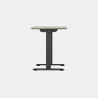 Branch Duo Standing Desk
