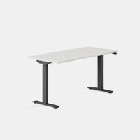 Branch Duo Standing Desk