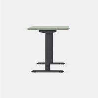 Branch Duo Standing Desk