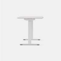 Branch Duo Standing Desk