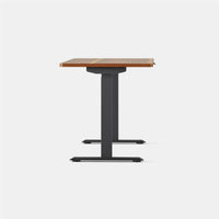 Branch Duo Standing Desk
