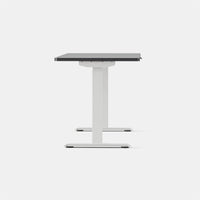 Branch Duo Standing Desk