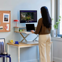 Branch Desk Riser Shelf