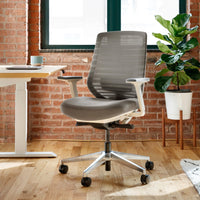 Branch Ergonomic Chair