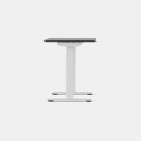 Branch Duo Standing Desk