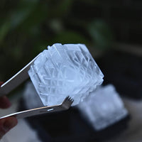 W&P Crystal Ice Mold Tray