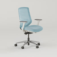 Branch Ergonomic Chair