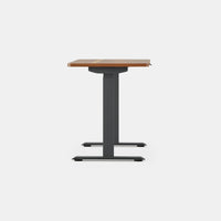 Branch Duo Standing Desk
