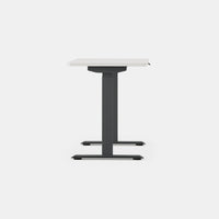 Branch Duo Standing Desk