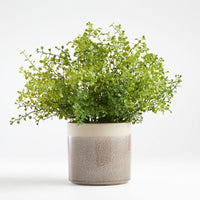 Faux Potted Greenery