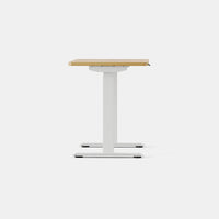 Branch Duo Standing Desk