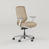 Branch Ergonomic Chair