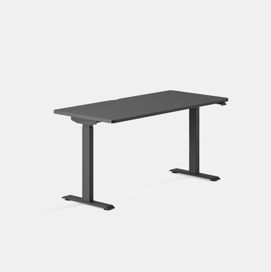 Branch Duo Standing Desk