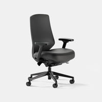 Branch Ergonomic Chair Pro