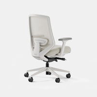 Branch Ergonomic Chair Pro