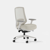 Branch Ergonomic Chair Pro