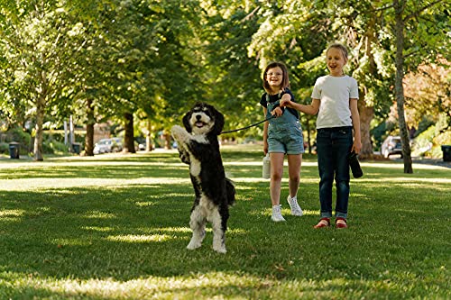 MiiR Kids Water Bottle