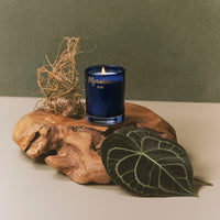 Better World Fragrance House Muskoka Candle