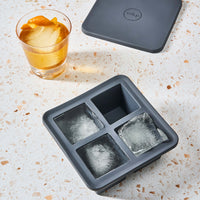 W&P XL Ice Molds