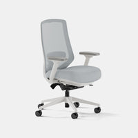 Branch Ergonomic Chair Pro