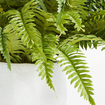 Faux Potted Fern